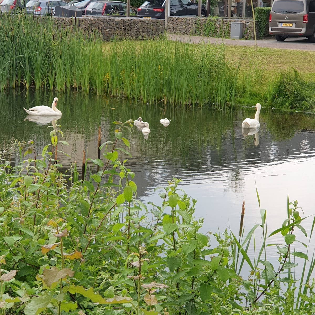 Horzpark — groene omgeving